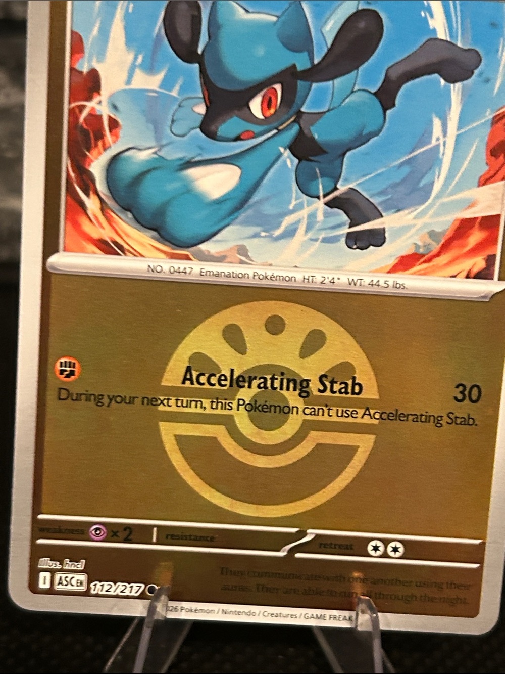 Pokemon Riolu 112/217 Reverse Holo Rare from Ascended Heroes Set M/NM - Picture 3 of 3